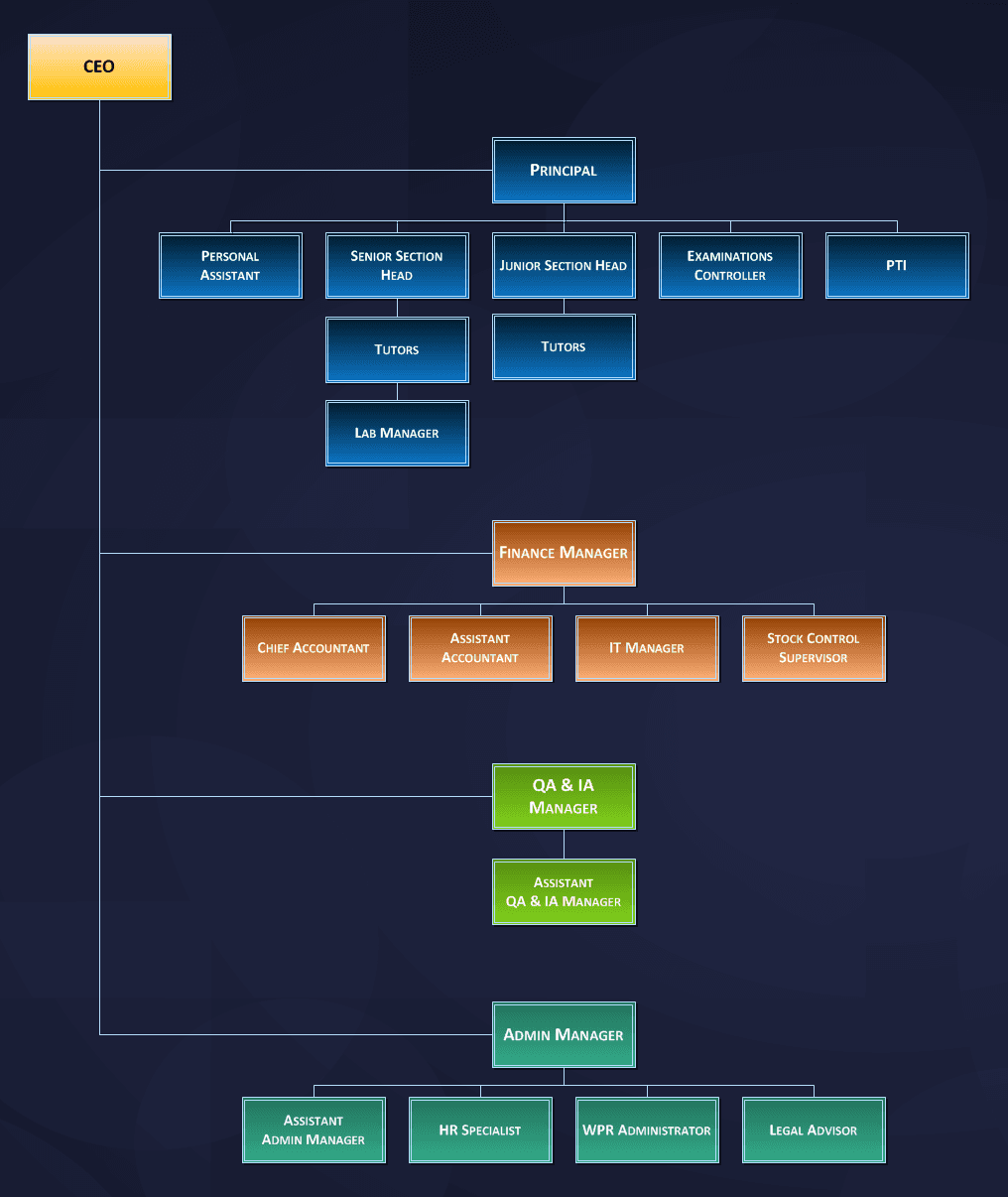 Organisational chart of Ali Public School: the CEO at the top, with the Principal, Finance Manager, QA & IA Manager and Admin Manager reporting to the CEO. The full structure is set out in text below.