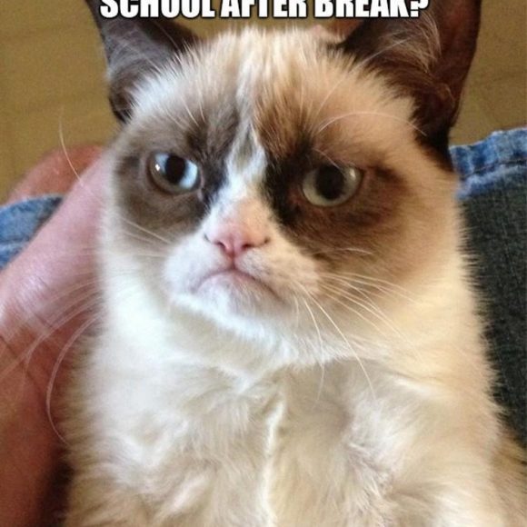 Back to School Back to School